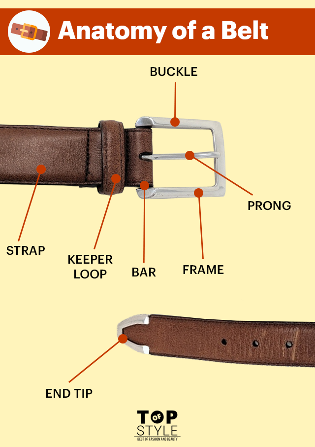 anatomy of a belt