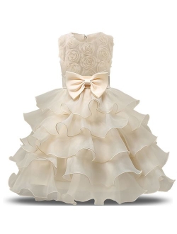 Girl Dress Kids Ruffles Lace Party Wedding Dresses