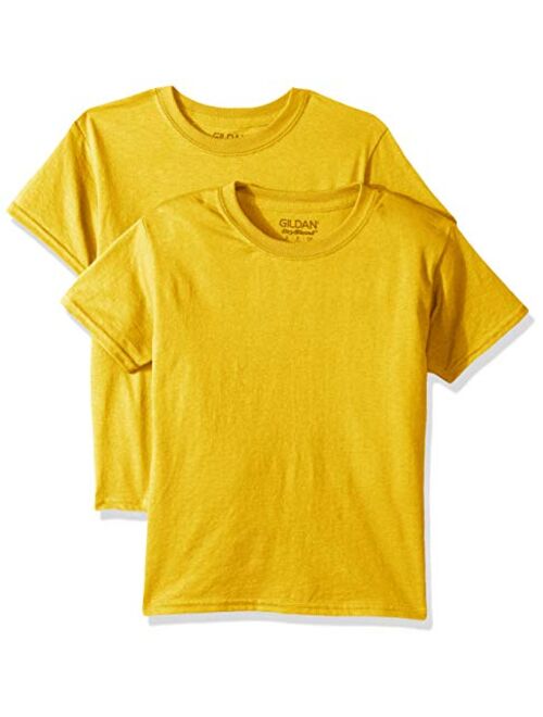 Gildan Youth DryBlend T-Shirt, Style G8000B, 2-Pack