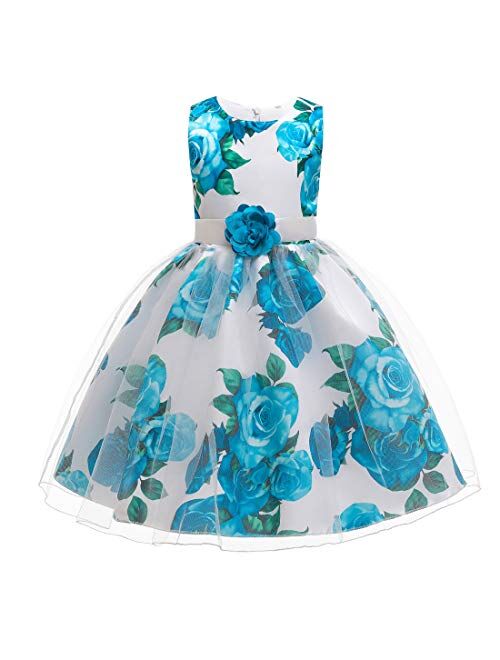 LLQKJOH Girl Dress Kids Ruffles Lace Party Wedding Bridesmaid Dresses