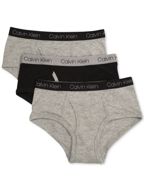 Calvin Klein Boys' Kids Modern Cotton Assorted Briefs Underwear, Multipack