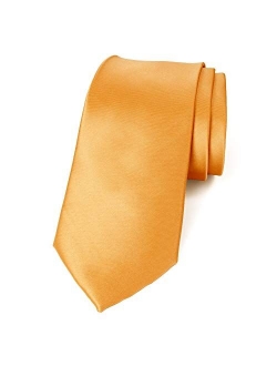 Men's Solid Color Satin Microfiber Tie, Regular and Skinny Width