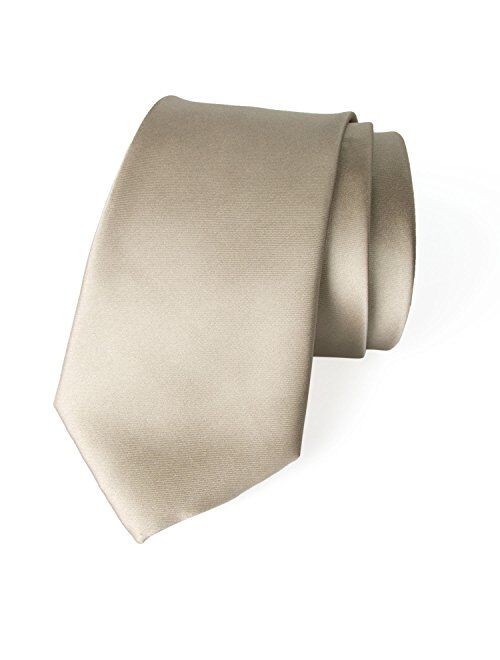 Spring Notion Men's Solid Color Satin Microfiber Tie, Regular and Skinny Width