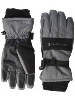 Men's W.P. Waterproof Insulated Glove