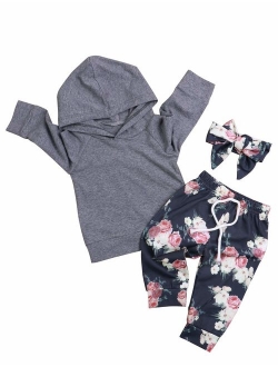 Baby Girl Clothes Long Sleeve Hoodie Sweatshirt Floral Pants with Headband Outfit Sets