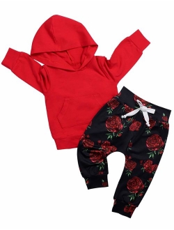 Baby Girl Clothes Long Sleeve Hoodie Sweatshirt Floral Pants with Headband Outfit Sets