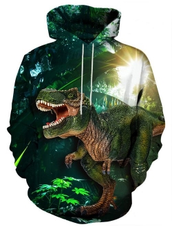 Hgvoetty Unisex Graphic Hoodies for Women Men Cool 3D Graphic Printed Sweatshirts with Pockets