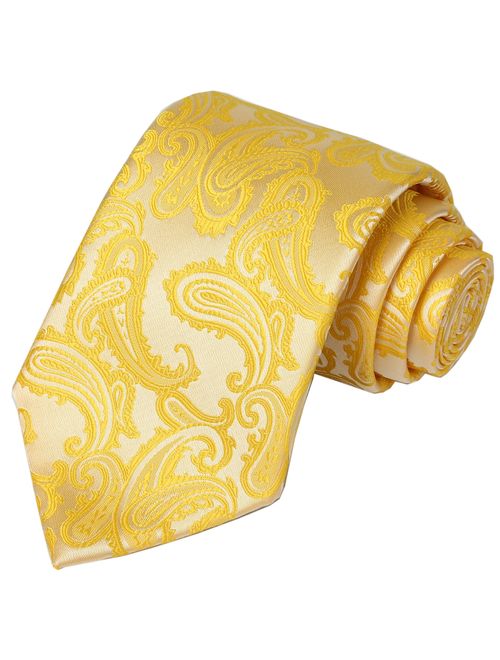 KissTies Mens Necktie Paisley Tie + Gift Box