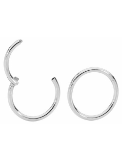 365 Sleepers 1 Pair Stainless Steel 5/16" (8mm) 16G Hinged Segment Ring Silver Black Rose Yellow Rainbow Blue Hoop Sleeper Earrings Body Piercing