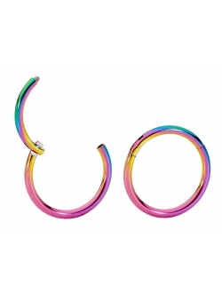 365 Sleepers 1 Pair Stainless Steel 5/16" (8mm) 16G Hinged Segment Ring Silver Black Rose Yellow Rainbow Blue Hoop Sleeper Earrings Body Piercing