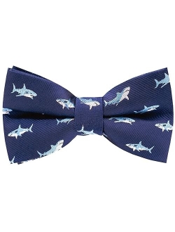 Carahere Little Boy's Handmade Pre-Tied Patterned Bow Ties For Kids