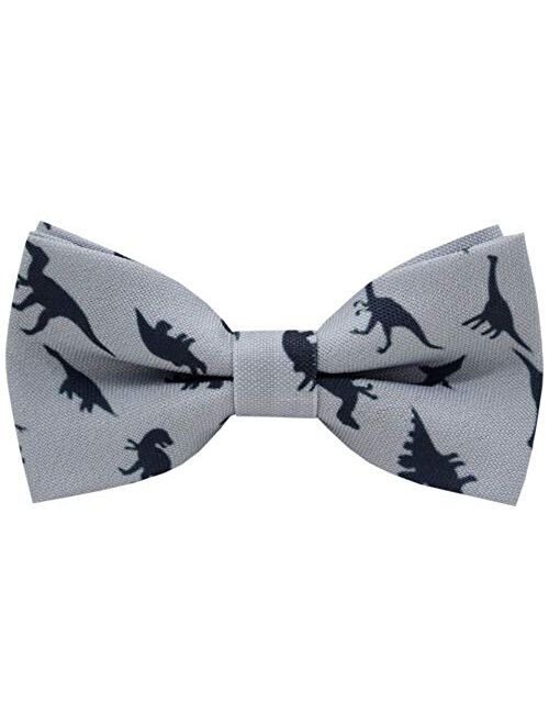 Carahere Little Boy's Handmade Pre-Tied Patterned Bow Ties For Kids