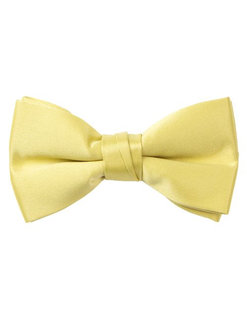 Spring Notion Boys' Pre-tied Banded Satin Bow Tie, Optional Gift Box