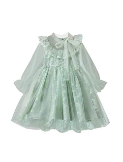 TTYAOVO Little Girls Long Sleeves Casual Birthday Dress with Tutu Skirt