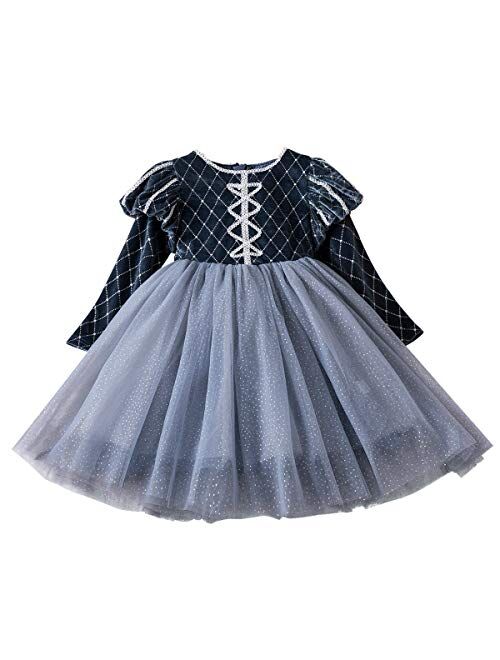 TTYAOVO Little Girls Long Sleeves Casual Birthday Dress with Tutu Skirt