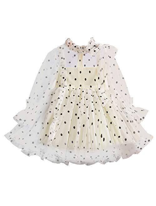 TTYAOVO Little Girls Long Sleeves Casual Birthday Dress with Tutu Skirt