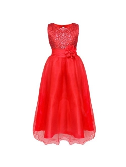 YiZYiF Kids Girl's Lace Sequined Wedding Bridesmaid Formal Birthday Party Flower Girl Dress