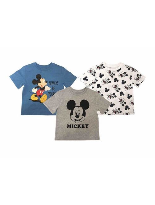 Disney Boys 3-Pack T-Shirts: Wide Variety Includes Lion King, Cars, Mickey Mouse