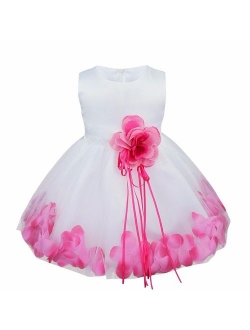 iEFiEL Kids Wedding Party Bowknot Petals Flower Girl Dress Junior Prom Pageant Party Gown