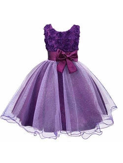 Acecharming Little Girls Tutu 3D Rose Flower Dress for Toddler Girls