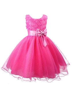 Acecharming Little Girls Tutu 3D Rose Flower Dress for Toddler Girls