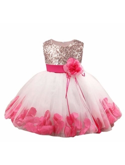 Bow Dream Flower Girl's Dress Sequins Tulle