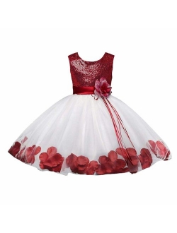 Bow Dream Flower Girl's Dress Sequins Tulle