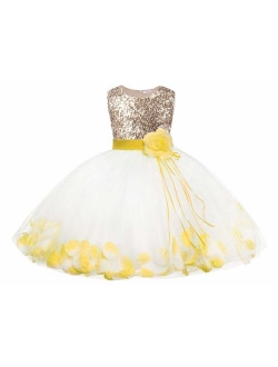 Bow Dream Flower Girl's Dress Sequins Tulle