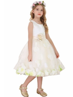 Bow Dream Flower Girl's Dress Sequins Tulle