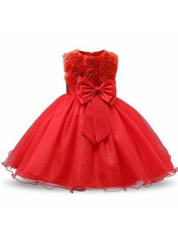 Girl Sleeveless Lace 3D Flower Tutu Holiday Princess Dresses