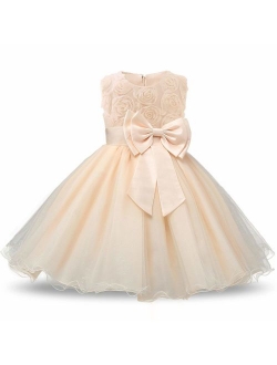 Girl Sleeveless Lace 3D Flower Tutu Holiday Princess Dresses