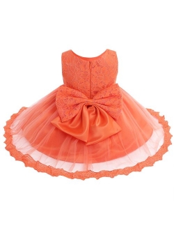 TiaoBug Baby Girls Flower Ruffled Princess Bowknot Wedding Pageant Christening Baptism Communion Party Dress