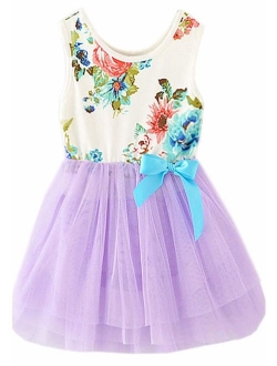 Niyage Little Girls Sleeveless Floral Princess Dress Tulle Tutu Sundress