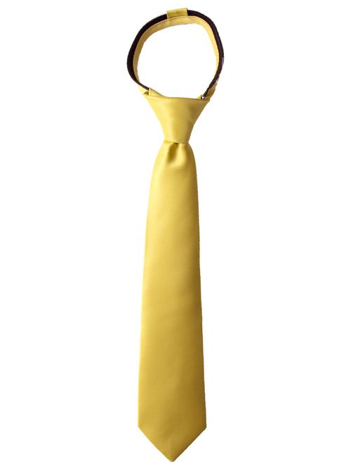 Spring Notion Boys' Satin Zipper Neck Tie, Optional Gift Box