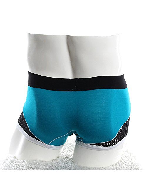 Paul Kevin Men's Cotton Stretch Underwear Low Rise Sexy Mesh Trunk