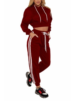 Women's 2 Piece Outfits Velvet Zip Hoodie Sweatshirt & Sweatpants