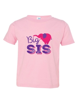 Texas Tees Brand: Gift for Big Sister, Big Sister in Baseball Script, Includes size 12-18 Month