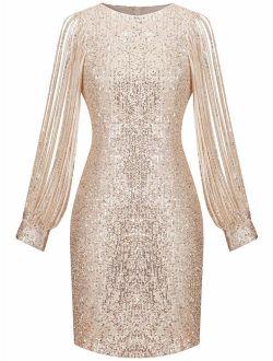 MISSCHEN Women's Elegant Sequin Glitter Bodycon Stretchy Tassel Sleeve Cocktail Party Dress