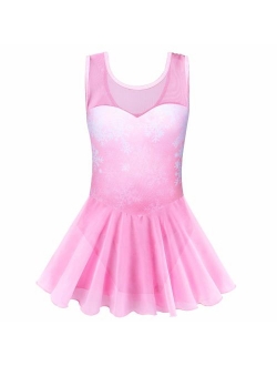 BAOHULU Toddlers Dancing Cosplay Tutu Ballet Leotard for Girls 3-12 Years