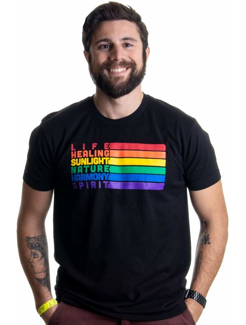 Pride Flag Meaning | Lesbian Gay Bisexual Transgender LGBTQ Men Women T-Shirt