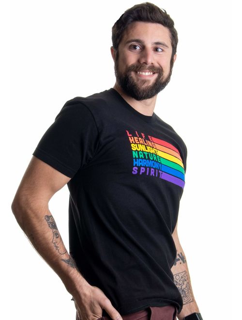 Pride Flag Meaning | Lesbian Gay Bisexual Transgender LGBTQ Men Women T-Shirt