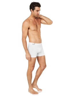 Boody Body EcoWear Men's Boxer Brief - Bamboo Viscose - Athletic Cooling Underwear for Guys