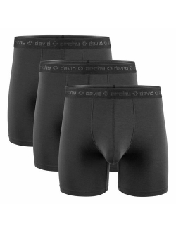 Men's 3 Pack Underwear Micro Modal Separate Pouches Boxer Briefs with Fly