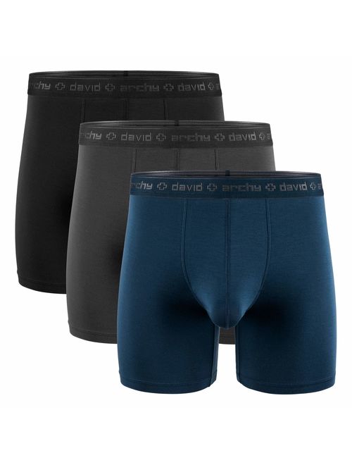 David Archy Men's 3 Pack Underwear Micro Modal Separate Pouches Boxer Briefs with Fly