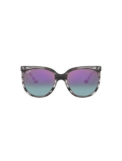 RB4126 Cats 1000 Cat Eye Sunglasses