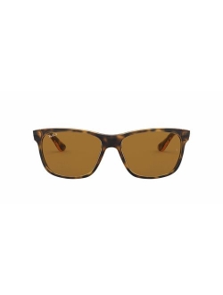 RB4181 Square Sunglasses