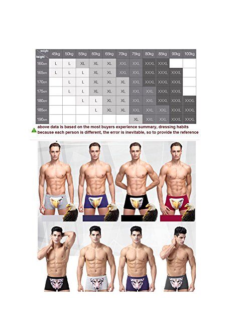 Men's Seamless Boxer Brief Stretchable Underwear 3D Printing 3-pcs Set, Sexy Hipster Wolf Animals