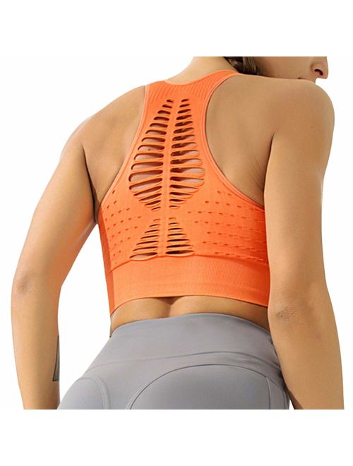 Hopgo Women's Seamless Sports Bra High Impact Mesh Openwork Workout Running Crop Tops Longline Yoga Bra