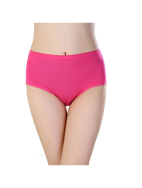 TEERFU 5Pack Womens Bamboo Brief Soft Underwear Breathable Panties