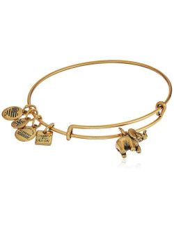 charity by design, elephant ii bangle bracelet
